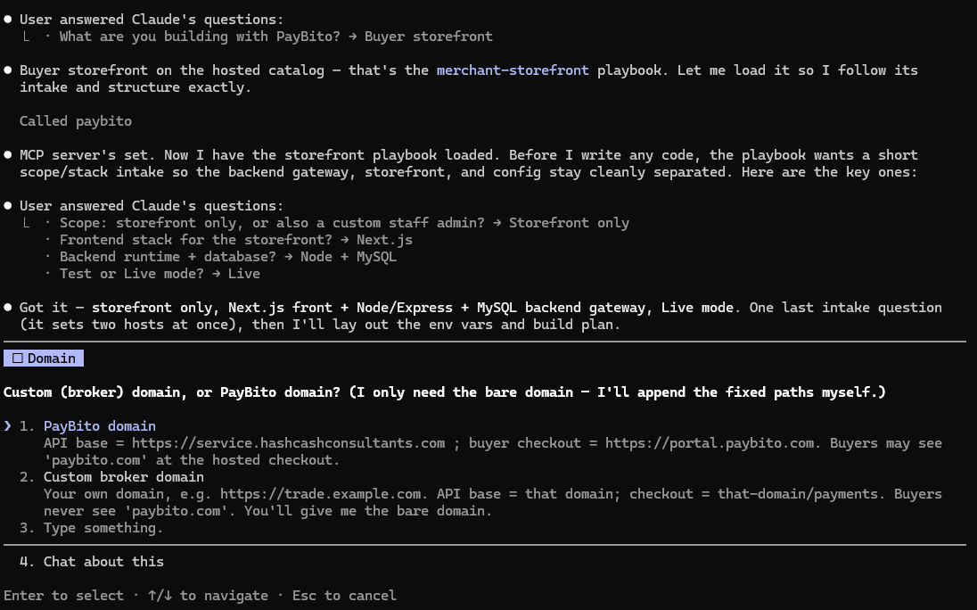 Domain question: PayBito domain versus custom broker domain